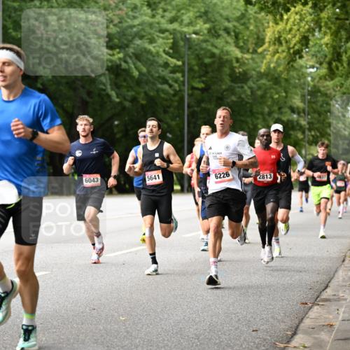06.09.2026 - CURREX Alsterlauf Dr. Thomas Lammeyer http://msf.ph/oto/10113491 06.09.2026 09:05:17 Laufen 6043, 5641, 27, 6226, 2813, 3 meine-sportfotos.de