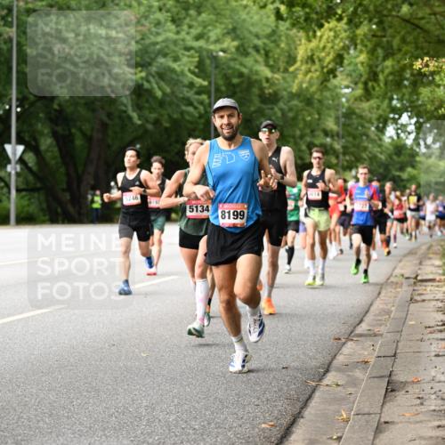 06.09.2026 - CURREX Alsterlauf Dr. Thomas Lammeyer http://msf.ph/oto/10113533 06.09.2026 09:05:23 Laufen 5246, 5134, 8199, 4614 meine-sportfotos.de