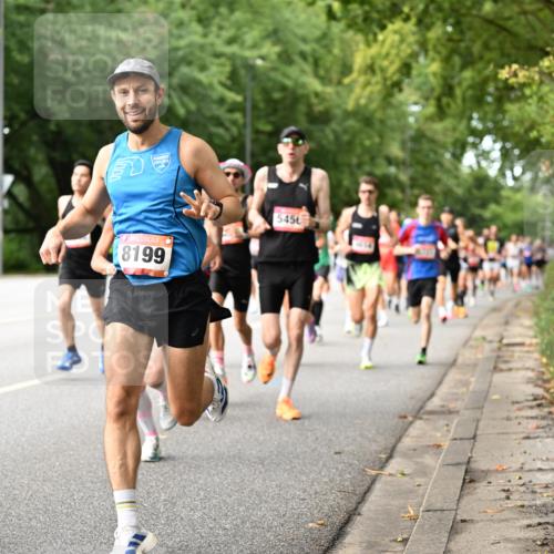 06.09.2026 - CURREX Alsterlauf Dr. Thomas Lammeyer http://msf.ph/oto/10113537 06.09.2026 09:05:24 Laufen 8199, 5456 meine-sportfotos.de
