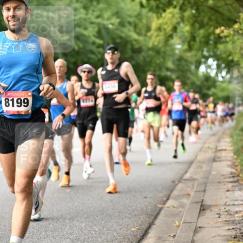 06.09.2026 - CURREX Alsterlauf Dr. Thomas Lammeyer http://msf.ph/oto/10113539 06.09.2026 09:05:24 Laufen 8199, 8974, 5456 meine-sportfotos.de