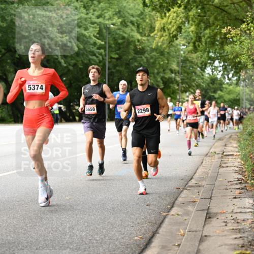 06.09.2026 - CURREX Alsterlauf Dr. Thomas Lammeyer http://msf.ph/oto/10113561 06.09.2026 09:05:27 Laufen 69, 5374, 5658, 294, 2299 meine-sportfotos.de