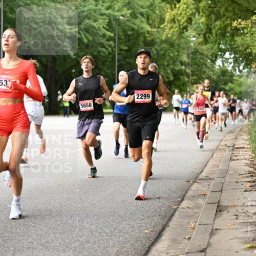 06.09.2026 - CURREX Alsterlauf Dr. Thomas Lammeyer http://msf.ph/oto/10113563 06.09.2026 09:05:28 Laufen 53, 5658, 2299, 4380 meine-sportfotos.de