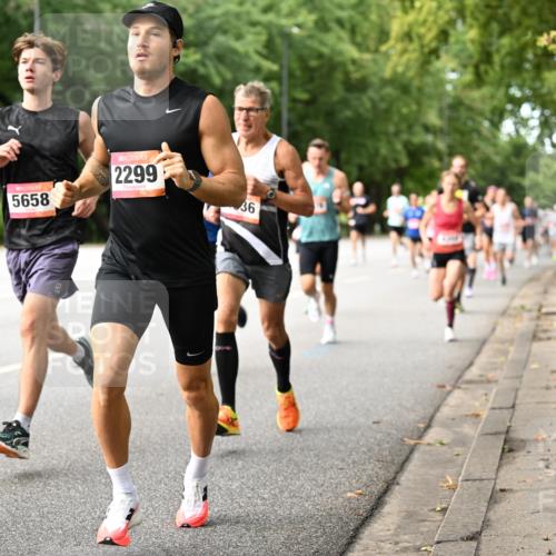 06.09.2026 - CURREX Alsterlauf Dr. Thomas Lammeyer http://msf.ph/oto/10113568 06.09.2026 09:05:29 Laufen 5535, 5658, 2299, 36 meine-sportfotos.de