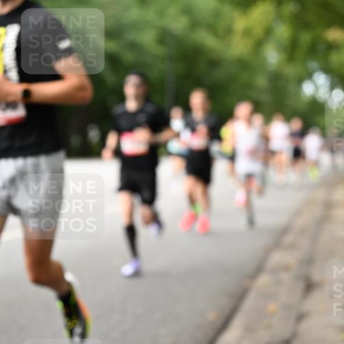 06.09.2026 - CURREX Alsterlauf Dr. Thomas Lammeyer http://msf.ph/oto/10113591 06.09.2026 09:05:32 Laufen  meine-sportfotos.de