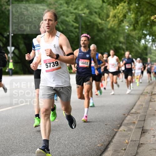 06.09.2026 - CURREX Alsterlauf Dr. Thomas Lammeyer http://msf.ph/oto/10113605 06.09.2026 09:05:34 Laufen 441, 5739, 5602 meine-sportfotos.de
