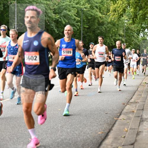 06.09.2026 - CURREX Alsterlauf Dr. Thomas Lammeyer http://msf.ph/oto/10113612 06.09.2026 09:05:35 Laufen 5024, 272, 41, 5602, 5189, 163, 5996, 5464, 610, 2378 meine-sportfotos.de