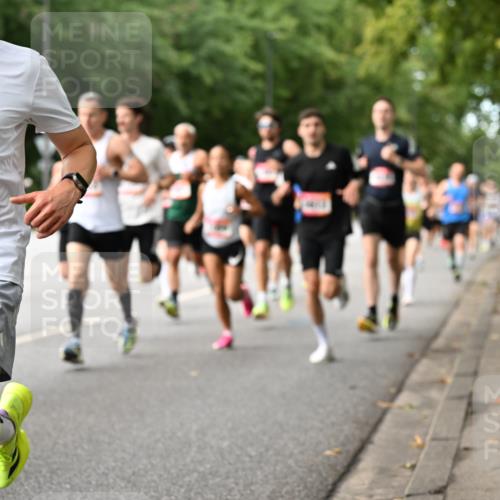 06.09.2026 - CURREX Alsterlauf Dr. Thomas Lammeyer http://msf.ph/oto/10113646 06.09.2026 09:05:40 Laufen 2378 meine-sportfotos.de