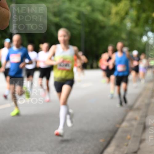 06.09.2026 - CURREX Alsterlauf Dr. Thomas Lammeyer http://msf.ph/oto/10113662 06.09.2026 09:05:42 Laufen 4, 55 meine-sportfotos.de