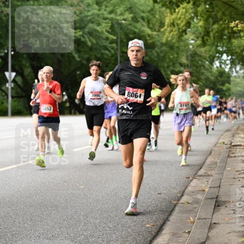 06.09.2026 - CURREX Alsterlauf Dr. Thomas Lammeyer http://msf.ph/oto/10113688 06.09.2026 09:05:46 Laufen 5302, 5852, 3990, 8061, 8197 meine-sportfotos.de