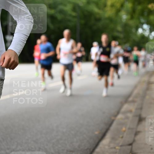06.09.2026 - CURREX Alsterlauf Dr. Thomas Lammeyer http://msf.ph/oto/10113856 06.09.2026 09:06:12 Laufen 541 meine-sportfotos.de