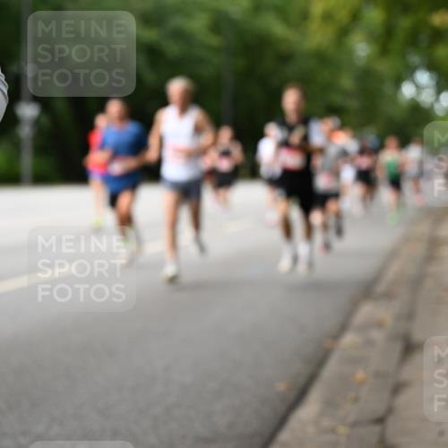 06.09.2026 - CURREX Alsterlauf Dr. Thomas Lammeyer http://msf.ph/oto/10113857 06.09.2026 09:06:12 Laufen  meine-sportfotos.de