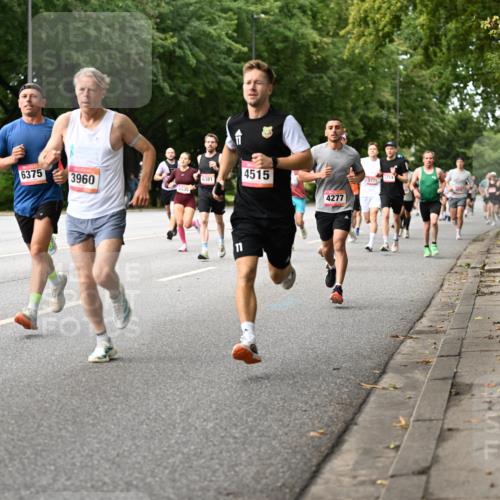 06.09.2026 - CURREX Alsterlauf Dr. Thomas Lammeyer http://msf.ph/oto/10113862 06.09.2026 09:06:13 Laufen 6375, 4515, 3960, 6381, 11, 4277, 3714, 3771 meine-sportfotos.de