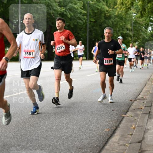 06.09.2026 - CURREX Alsterlauf Dr. Thomas Lammeyer http://msf.ph/oto/10114015 06.09.2026 09:06:35 Laufen 4372, 3561, 4331, 6388, 5680 meine-sportfotos.de