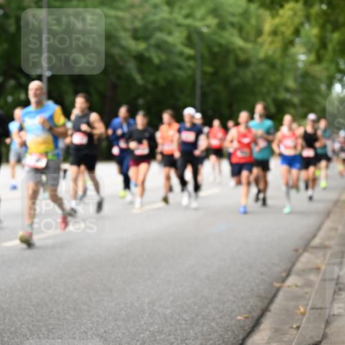 06.09.2026 - CURREX Alsterlauf Dr. Thomas Lammeyer http://msf.ph/oto/10114256 06.09.2026 09:07:12 Laufen  meine-sportfotos.de