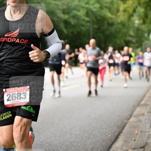 06.09.2026 - CURREX Alsterlauf Dr. Thomas Lammeyer http://msf.ph/oto/10114319 06.09.2026 09:07:22 Laufen 2683 meine-sportfotos.de