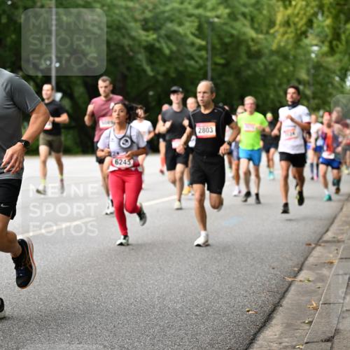 06.09.2026 - CURREX Alsterlauf Dr. Thomas Lammeyer http://msf.ph/oto/10114334 06.09.2026 09:07:24 Laufen 5316, 6245, 2803 meine-sportfotos.de
