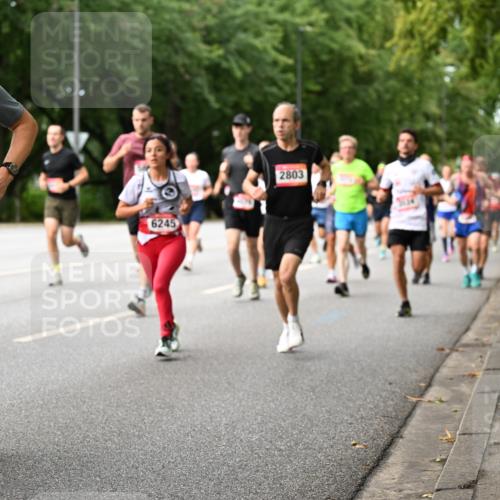06.09.2026 - CURREX Alsterlauf Dr. Thomas Lammeyer http://msf.ph/oto/10114335 06.09.2026 09:07:24 Laufen 5316, 6245, 2803, 1, 54 meine-sportfotos.de