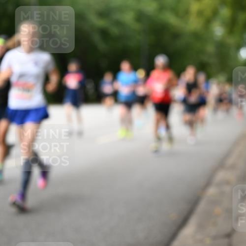 06.09.2026 - CURREX Alsterlauf Dr. Thomas Lammeyer http://msf.ph/oto/10114371 06.09.2026 09:07:30 Laufen  meine-sportfotos.de