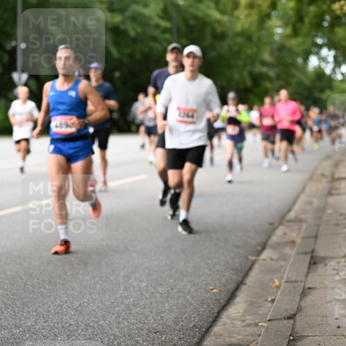 06.09.2026 - CURREX Alsterlauf Dr. Thomas Lammeyer http://msf.ph/oto/10114452 06.09.2026 09:07:44 Laufen  meine-sportfotos.de