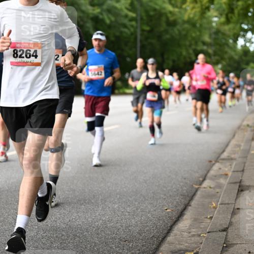 06.09.2026 - CURREX Alsterlauf Dr. Thomas Lammeyer http://msf.ph/oto/10114460 06.09.2026 09:07:45 Laufen 8264, 2 meine-sportfotos.de
