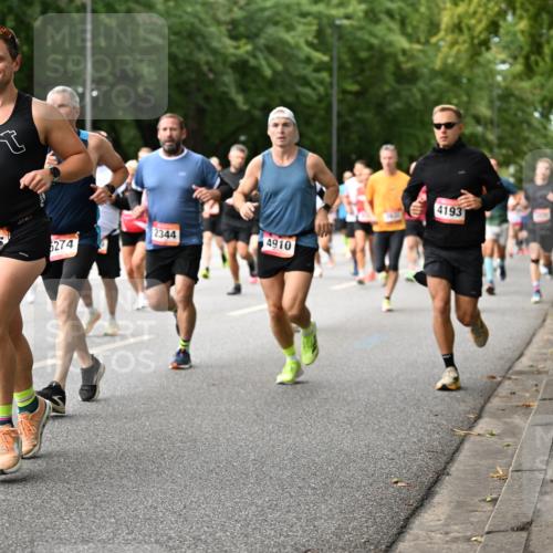 06.09.2026 - CURREX Alsterlauf Dr. Thomas Lammeyer http://msf.ph/oto/10114506 06.09.2026 09:07:52 Laufen 87, 2344, 4105, 6274, 4910, 4193 meine-sportfotos.de