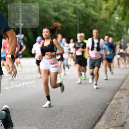 06.09.2026 - CURREX Alsterlauf Dr. Thomas Lammeyer http://msf.ph/oto/10114539 06.09.2026 09:07:57 Laufen 3234 meine-sportfotos.de