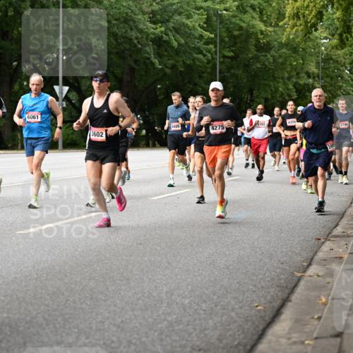 06.09.2026 - CURREX Alsterlauf Dr. Thomas Lammeyer http://msf.ph/oto/10114622 06.09.2026 09:08:10 Laufen 3280, 6061, 4405, 4275, 182, 4359, 3602, 249, 2796 meine-sportfotos.de