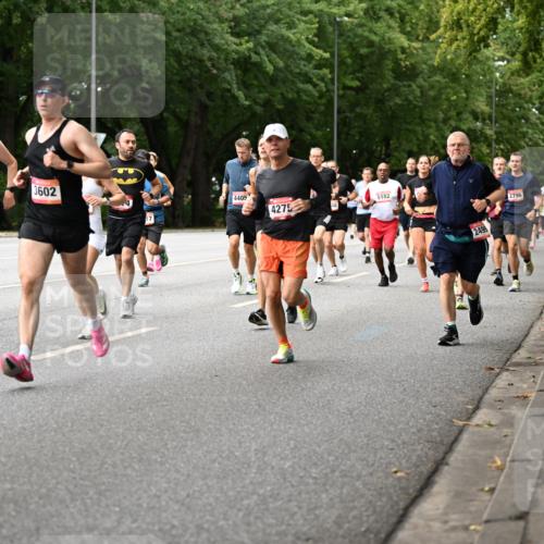 06.09.2026 - CURREX Alsterlauf Dr. Thomas Lammeyer http://msf.ph/oto/10114626 06.09.2026 09:08:11 Laufen 3200, 6061, 3602, 4405, 4275, 5182, 2499, 2796 meine-sportfotos.de