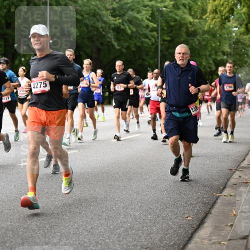 06.09.2026 - CURREX Alsterlauf Dr. Thomas Lammeyer http://msf.ph/oto/10114635 06.09.2026 09:08:12 Laufen 5274, 617, 430, 4275, 453, 24, 99, 2796 meine-sportfotos.de