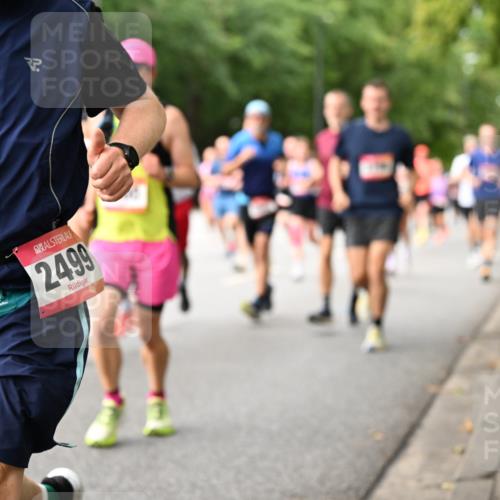 06.09.2026 - CURREX Alsterlauf Dr. Thomas Lammeyer http://msf.ph/oto/10114646 06.09.2026 09:08:14 Laufen 3, 2499 meine-sportfotos.de