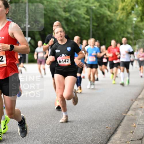 06.09.2026 - CURREX Alsterlauf Dr. Thomas Lammeyer http://msf.ph/oto/10114735 06.09.2026 09:08:27 Laufen 5932, 6442 meine-sportfotos.de