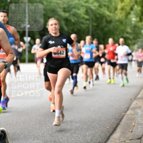 06.09.2026 - CURREX Alsterlauf Dr. Thomas Lammeyer http://msf.ph/oto/10114736 06.09.2026 09:08:28 Laufen 5932, 6442 meine-sportfotos.de
