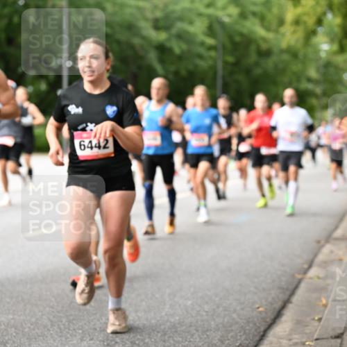 06.09.2026 - CURREX Alsterlauf Dr. Thomas Lammeyer http://msf.ph/oto/10114738 06.09.2026 09:08:28 Laufen 5400, 6442 meine-sportfotos.de