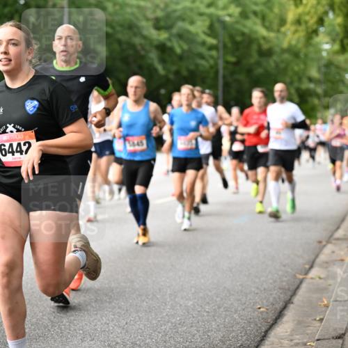 06.09.2026 - CURREX Alsterlauf Dr. Thomas Lammeyer http://msf.ph/oto/10114740 06.09.2026 09:08:28 Laufen 0, 1969, 6442, 3645 meine-sportfotos.de
