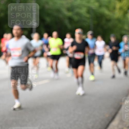 06.09.2026 - CURREX Alsterlauf Dr. Thomas Lammeyer http://msf.ph/oto/10114778 06.09.2026 09:08:35 Laufen  meine-sportfotos.de