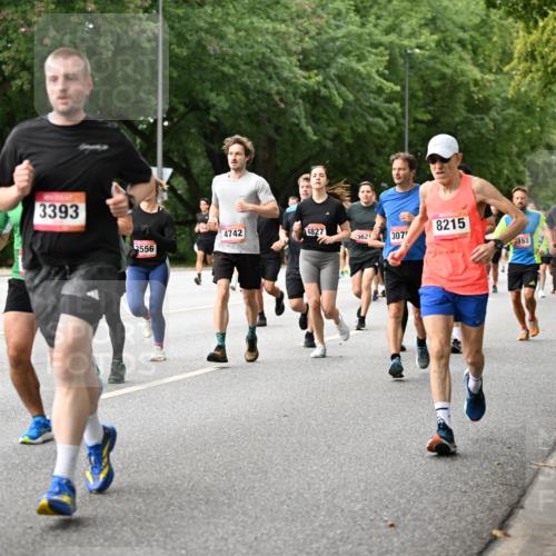 06.09.2026 - CURREX Alsterlauf Dr. Thomas Lammeyer http://msf.ph/oto/10115109 06.09.2026 09:09:46 Laufen 4232, 3393, 4742, 4827, 8215, 5621, 307, 2556, 153, 5552 meine-sportfotos.de