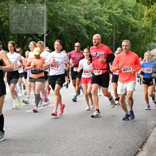 06.09.2026 - CURREX Alsterlauf Dr. Thomas Lammeyer http://msf.ph/oto/10115229 06.09.2026 09:10:04 Laufen 45, 984, 5413, 42, 195, 266, 8093, 8311, 4190, 3292, 4324, 91 meine-sportfotos.de