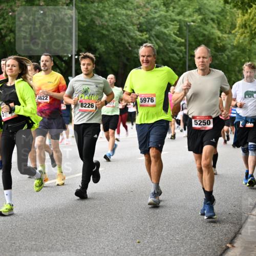 06.09.2026 - CURREX Alsterlauf Dr. Thomas Lammeyer http://msf.ph/oto/10115356 06.09.2026 09:10:24 Laufen 4622, 8226, 5976, 5250 meine-sportfotos.de