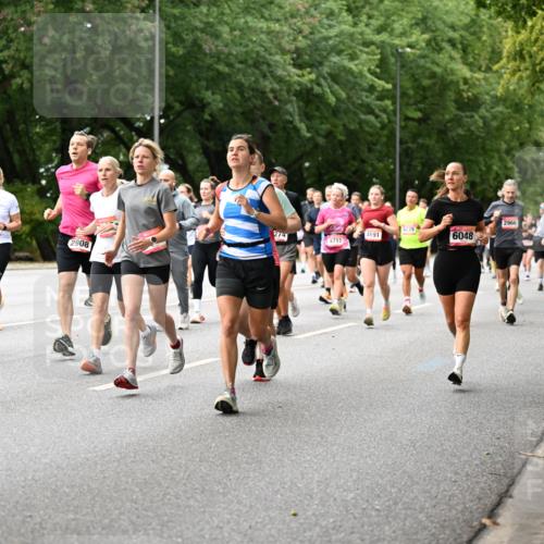 06.09.2026 - CURREX Alsterlauf Dr. Thomas Lammeyer http://msf.ph/oto/10115384 06.09.2026 09:10:28 Laufen 4091, 21, 2908, 2966, 6239, 274, 4691, 6048, 4717, 5110 meine-sportfotos.de