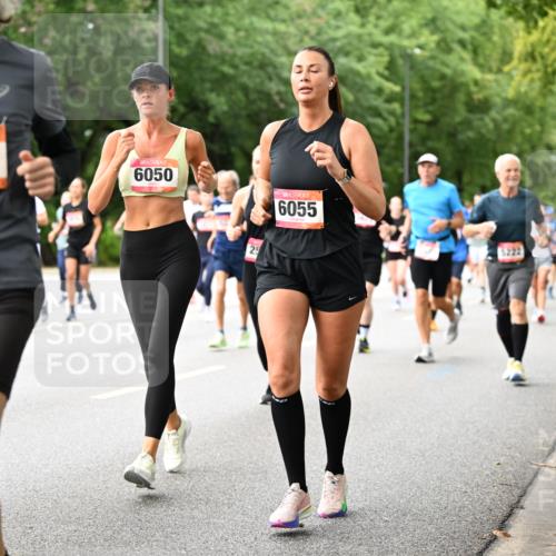 06.09.2026 - CURREX Alsterlauf Dr. Thomas Lammeyer http://msf.ph/oto/10115427 06.09.2026 09:10:33 Laufen 2966, 6050, 25, 6055, 5222 meine-sportfotos.de