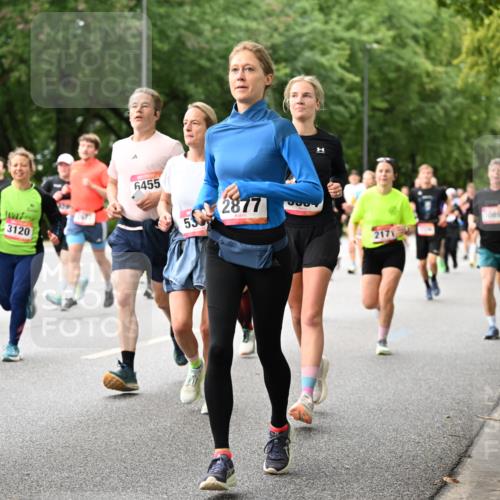 06.09.2026 - CURREX Alsterlauf Dr. Thomas Lammeyer http://msf.ph/oto/10115495 06.09.2026 09:10:42 Laufen 3120, 6455, 53, 2877, 30891, 2171 meine-sportfotos.de