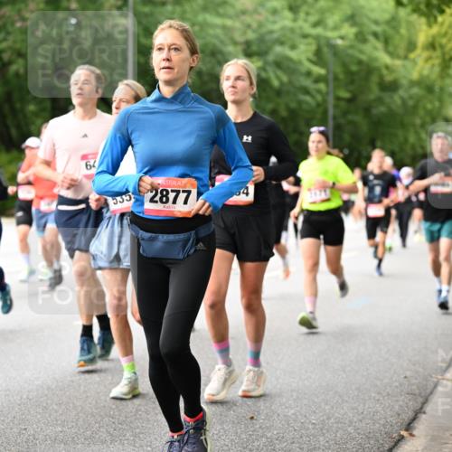 06.09.2026 - CURREX Alsterlauf Dr. Thomas Lammeyer http://msf.ph/oto/10115497 06.09.2026 09:10:43 Laufen 64, 535, 2877 meine-sportfotos.de