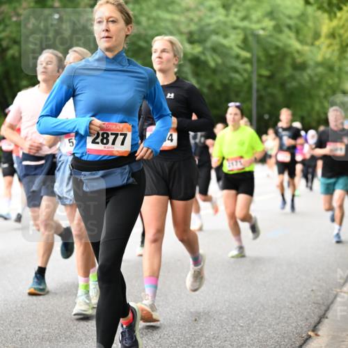 06.09.2026 - CURREX Alsterlauf Dr. Thomas Lammeyer http://msf.ph/oto/10115498 06.09.2026 09:10:43 Laufen 13, 1120, 5, 2877, 4 meine-sportfotos.de