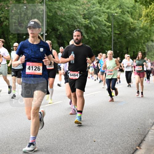 06.09.2026 - CURREX Alsterlauf Dr. Thomas Lammeyer http://msf.ph/oto/10115547 06.09.2026 09:10:50 Laufen 2629, 8323, 813, 4126, 2849, 5939, 4760, 6464 meine-sportfotos.de