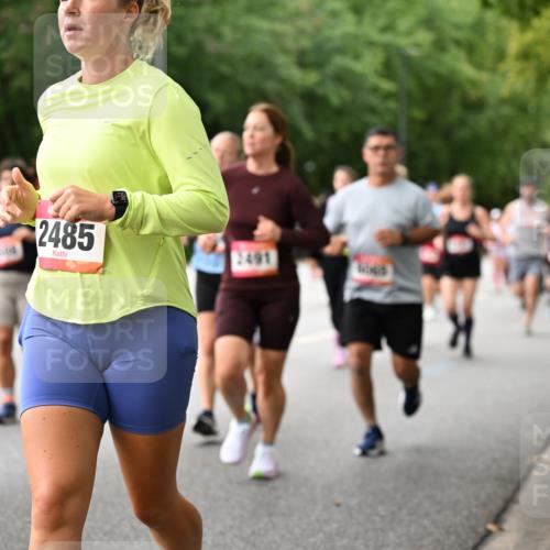 06.09.2026 - CURREX Alsterlauf Dr. Thomas Lammeyer http://msf.ph/oto/10115593 06.09.2026 09:10:57 Laufen 4354, 2485, 2491 meine-sportfotos.de