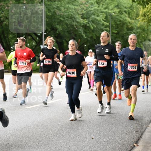 06.09.2026 - CURREX Alsterlauf Dr. Thomas Lammeyer http://msf.ph/oto/10115639 06.09.2026 09:11:03 Laufen 97, 3205, 2766, 3231, 4415, 2979, 3852, 3636 meine-sportfotos.de