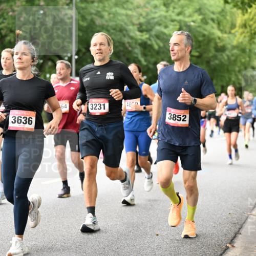 06.09.2026 - CURREX Alsterlauf Dr. Thomas Lammeyer http://msf.ph/oto/10115647 06.09.2026 09:11:04 Laufen 3205, 3636, 64, 3231, 40, 3852 meine-sportfotos.de