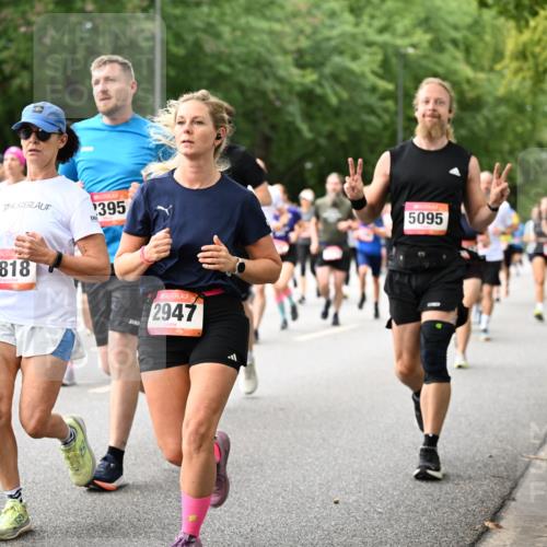 06.09.2026 - CURREX Alsterlauf Dr. Thomas Lammeyer http://msf.ph/oto/10115791 06.09.2026 09:11:28 Laufen 50, 2343, 395, 5818, 2947, 5095 meine-sportfotos.de