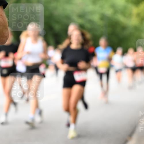 06.09.2026 - CURREX Alsterlauf Dr. Thomas Lammeyer http://msf.ph/oto/10115816 06.09.2026 09:11:33 Laufen  meine-sportfotos.de