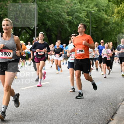 06.09.2026 - CURREX Alsterlauf Dr. Thomas Lammeyer http://msf.ph/oto/10115831 06.09.2026 09:11:37 Laufen 3607, 3735, 446, 2494, 931 meine-sportfotos.de